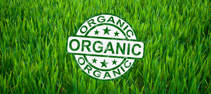 why organics lawn care